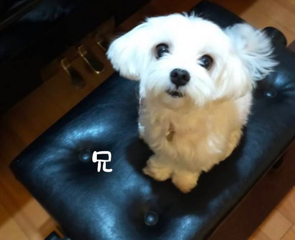 音楽を通じて仲間と協力することの大切さを学んだ